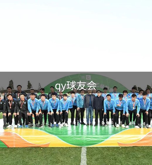 公司使命